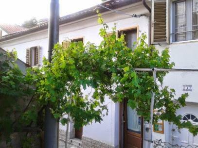 B&B Al Ferdinandeo Triest Exterior foto